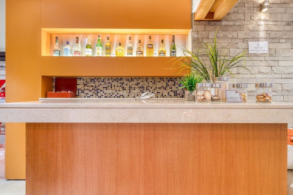 Barra con botellas, una planta y frascos de frutos secos en el mostrador